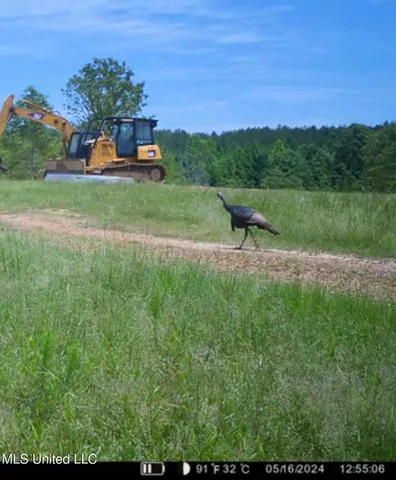 $2,150,000 | Alfred Phelps Lane, Lexington, MS 39095