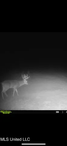 $2,150,000 | Alfred Phelps Lane, Lexington, MS 39095