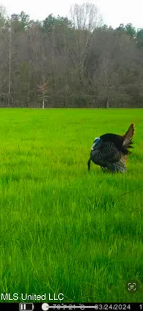 $2,150,000 | Alfred Phelps Lane, Lexington, MS 39095