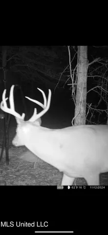 $2,150,000 | Alfred Phelps Lane, Lexington, MS 39095