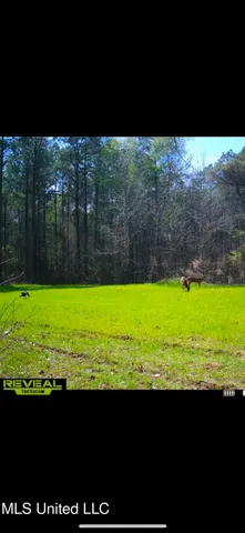 $2,150,000 | Alfred Phelps Lane, Lexington, MS 39095