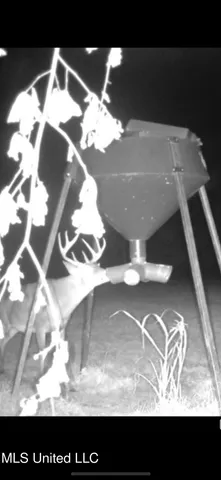 $2,150,000 | Alfred Phelps Lane, Lexington, MS 39095