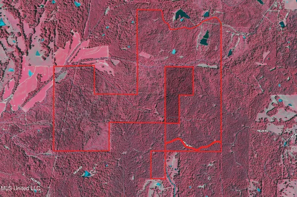 $2,150,000 | Alfred Phelps Lane, Lexington, MS 39095