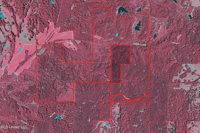 $2,150,000 | Alfred Phelps Lane, Lexington, MS 39095