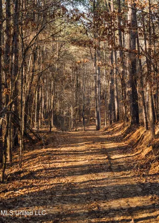 $2,150,000 | Alfred Phelps Lane, Lexington, MS 39095