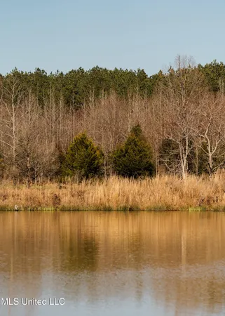 $2,150,000 | Alfred Phelps Lane, Lexington, MS 39095