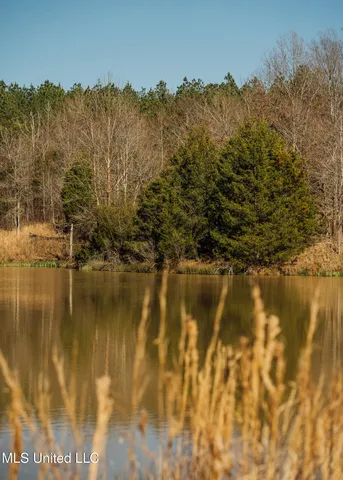 $2,150,000 | Alfred Phelps Lane, Lexington, MS 39095