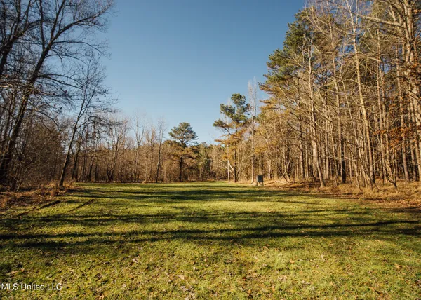 $2,150,000 | Alfred Phelps Lane, Lexington, MS 39095