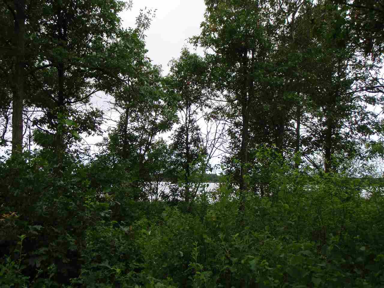 0 River Road Junction City, WI 54443 - Photo 1 of 1