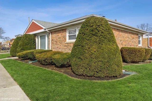 a view of a backyard with plants