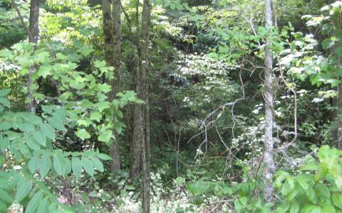 Donley Road Murphy, NC 28906 - Photo 4 of 4 Additional View