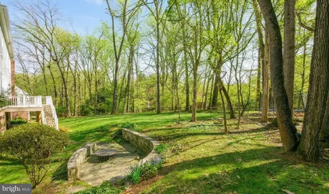 a view of a park with large trees