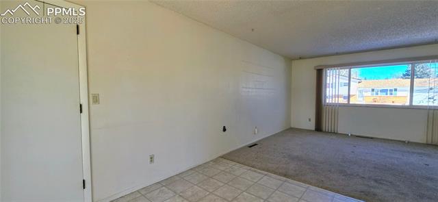 6313 Chippewa Road Colorado Springs, CO 80915 - Photo 16 of 36 Carpeted spare room featuring a textured ceiling