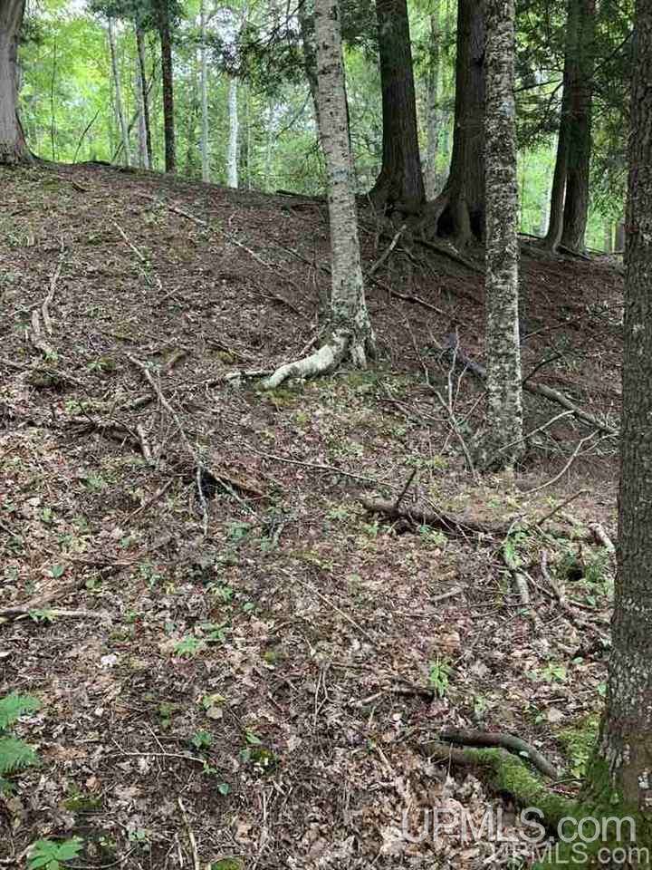 Lot 1 Bayview Road Lanse, MI 49946 - Photo 22 of 27