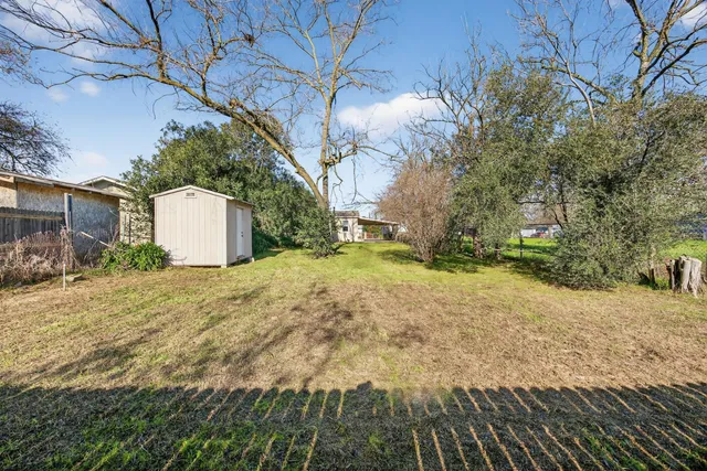 a view of a yard with plants and trees
