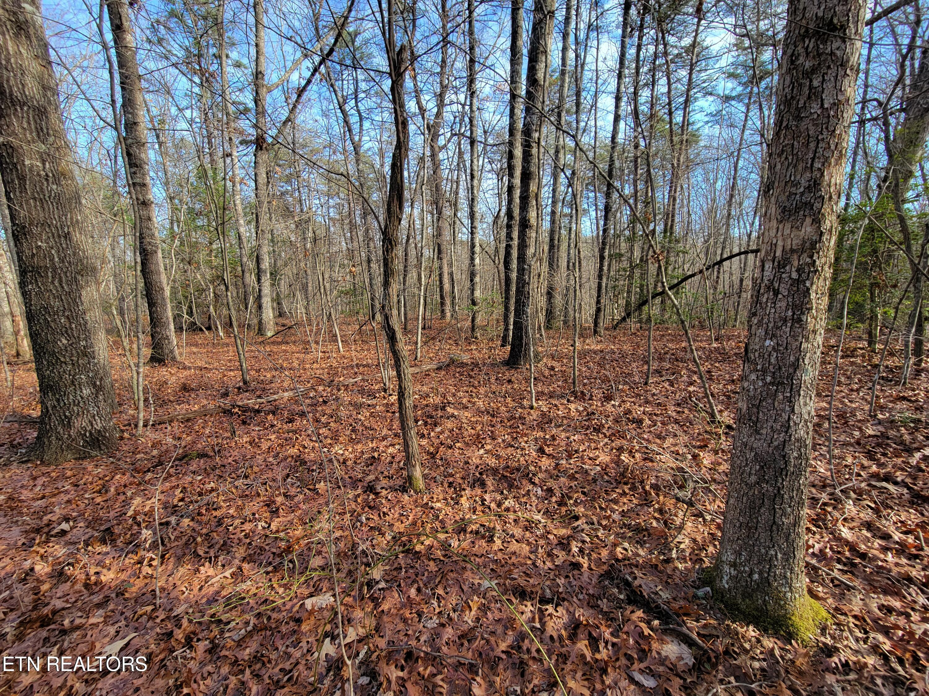 30 Laurel Loop Monterey, TN 38574 - Photo 4 of 12 Laurel Loop Lot 30 Photo 3
