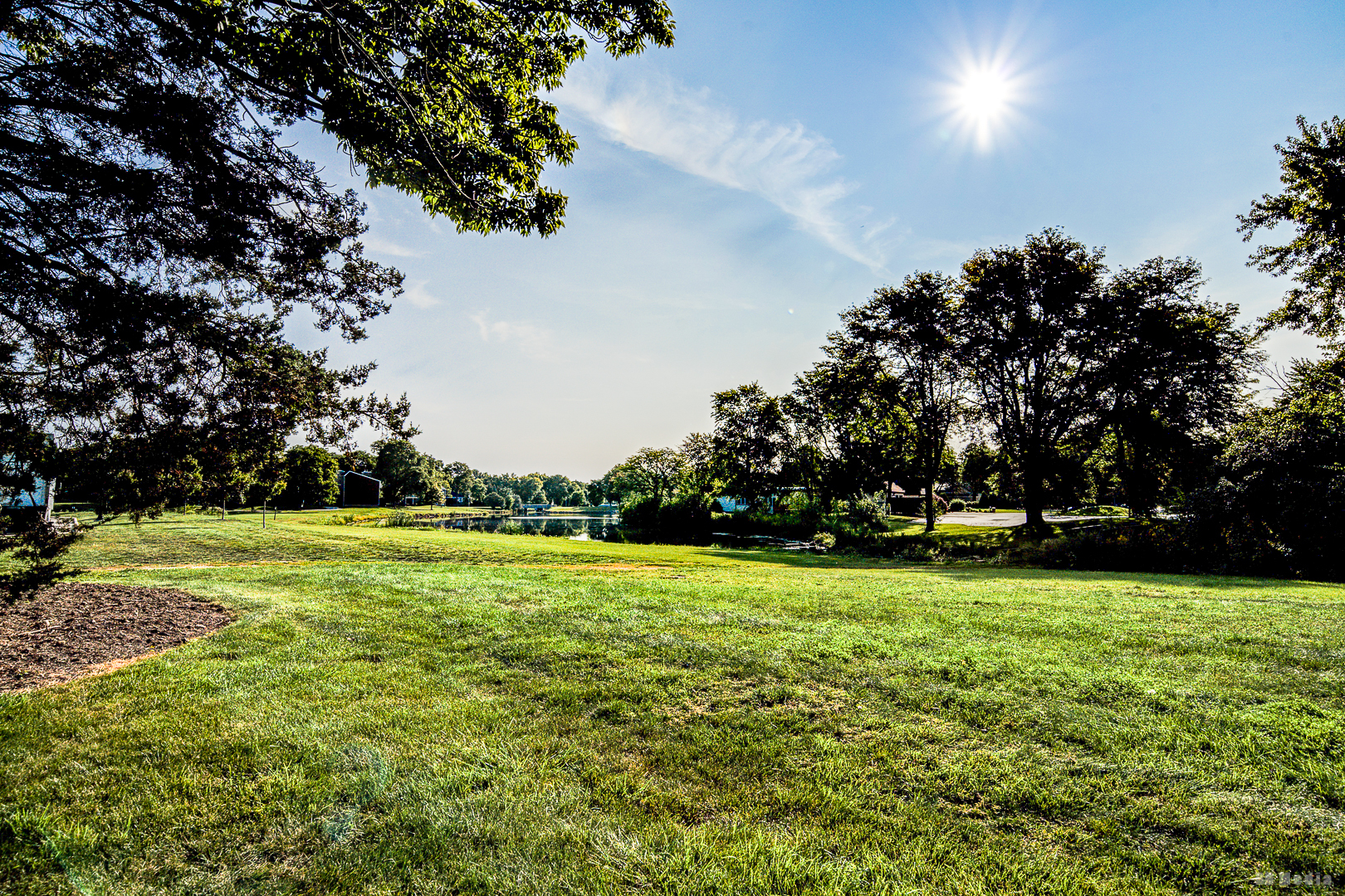 1477 South County Farm Road, Unit 23F Wheaton, IL 60189 - Photo 11 of 27 a view of a big yard with a trees