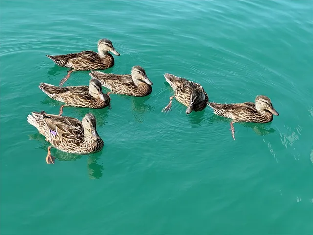 $457,850 | 6872-6874 State Highway, Cooperstown, NY 13326