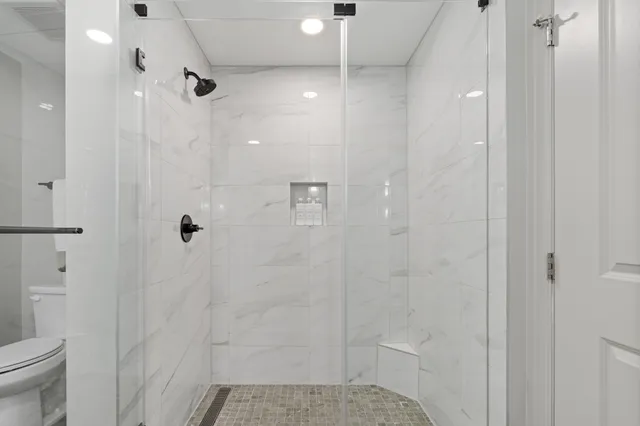 a bathroom with a shower and toilet