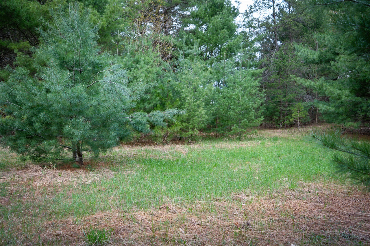 V/l Hudson Road South Boardman, MI 49680 - Photo 19 of 34