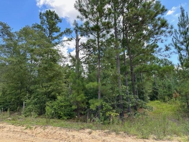 Ninety Ninety 6 Road Neeses, SC 29107 - Photo 3 of 6