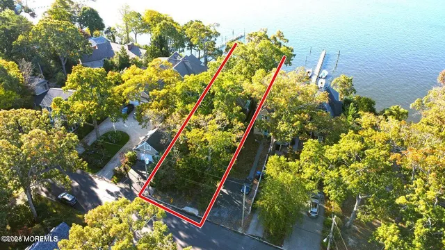 a picture of flowers