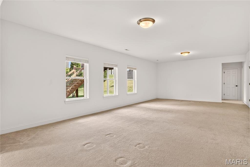 1220 Birch Meadow Court High Ridge, MO 63049 - Photo 41 of 60