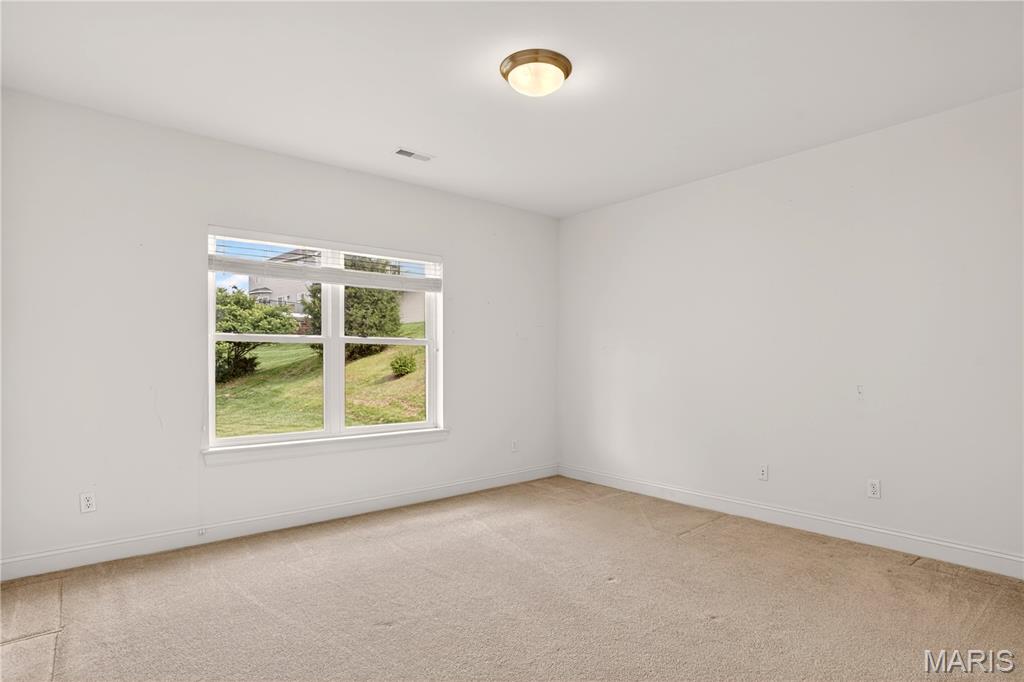1220 Birch Meadow Court High Ridge, MO 63049 - Photo 42 of 60