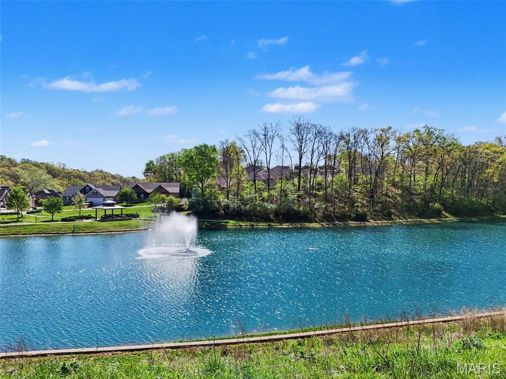 1220 Birch Meadow Court High Ridge, MO 63049 - Photo 57 of 60