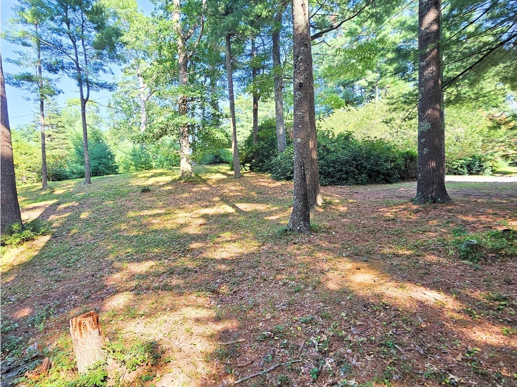 0 Nel Bonney Road Carver, MA 02330 - Photo 9 of 19 Gallery Image 9