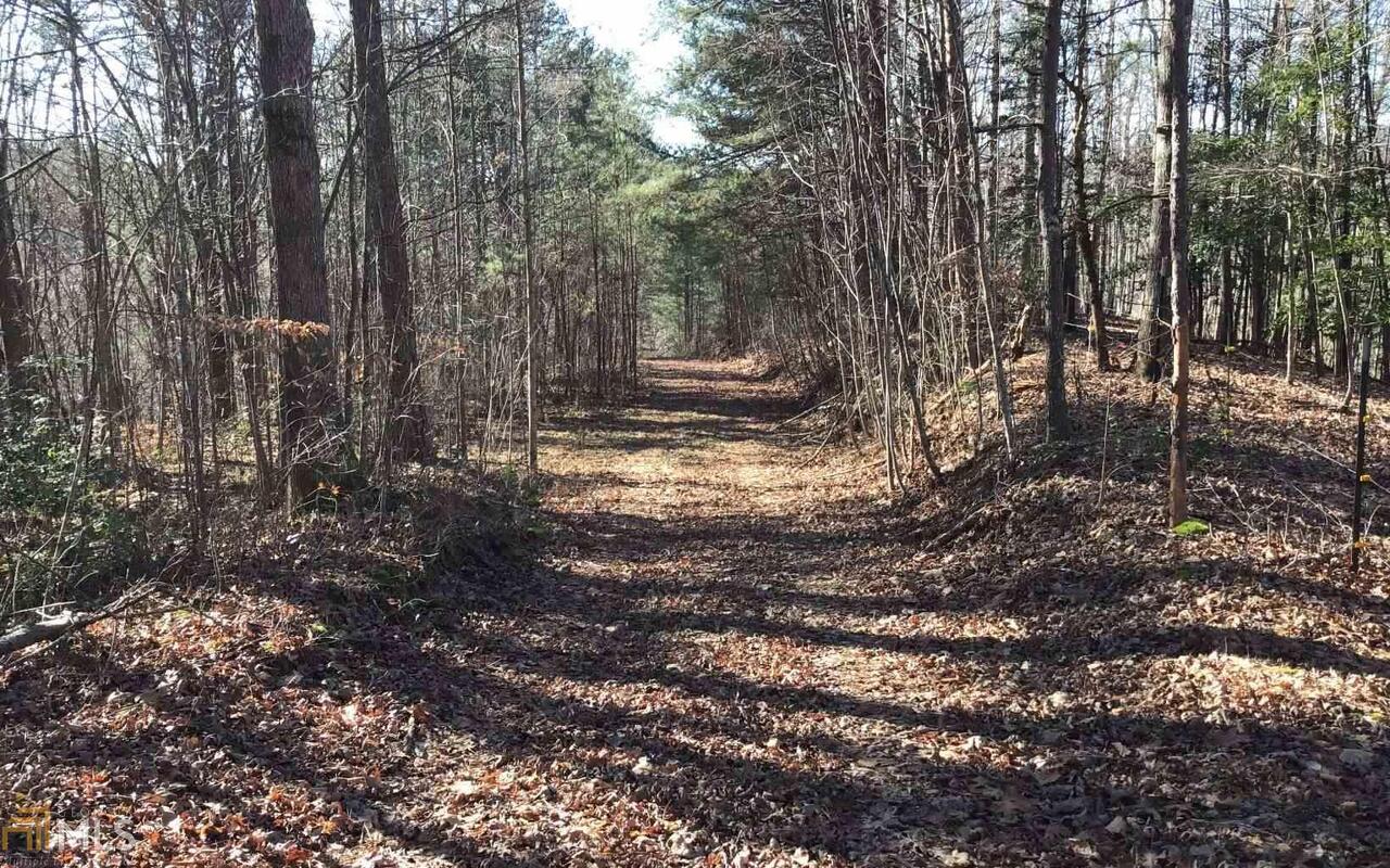 0 Canyon Road Marble, NC 28905 - Photo 1 of 1 Gallery Image 1