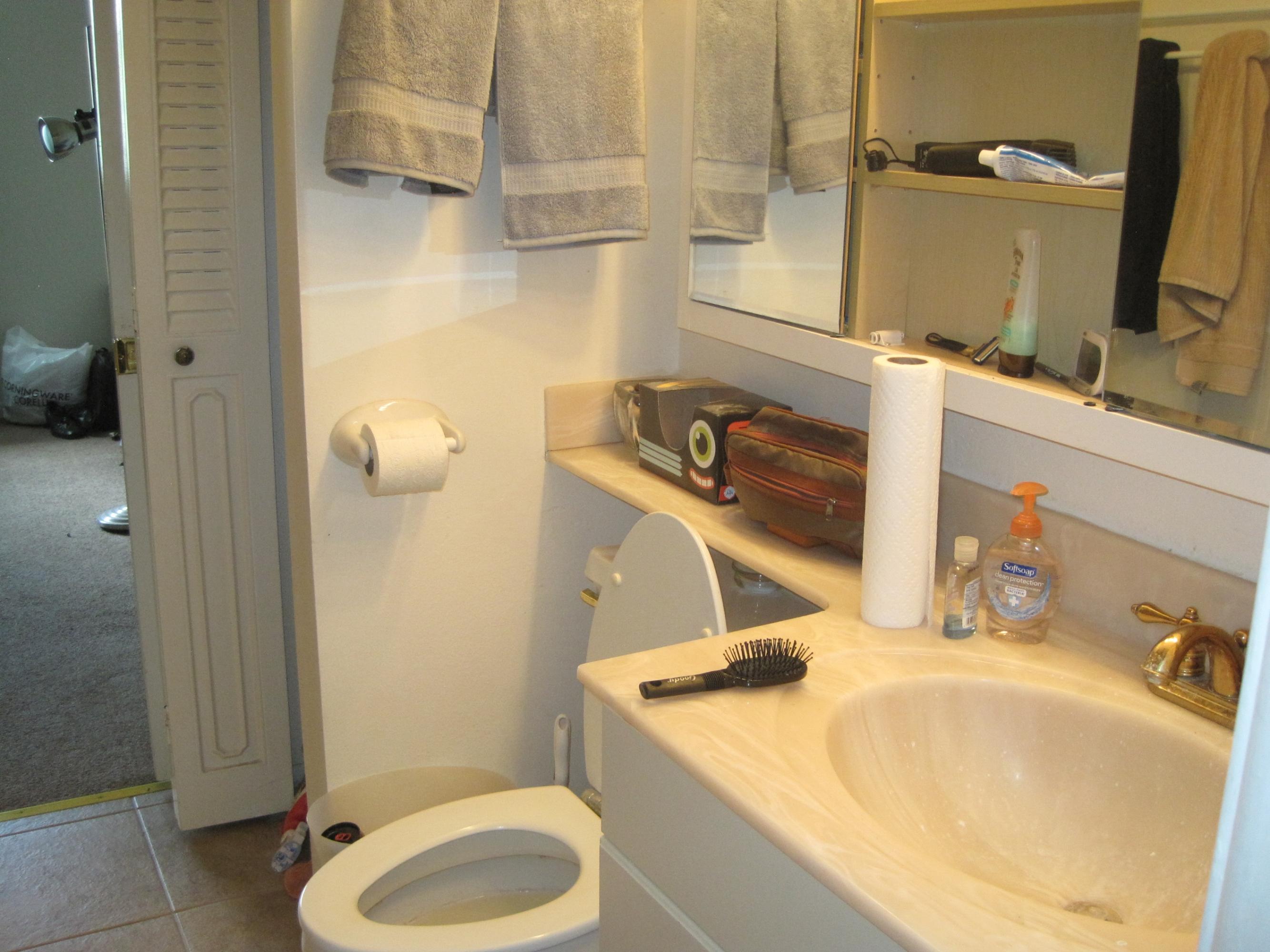 50 Southeast 12th Street, Unit 215 Boca Raton, FL 33432 - Photo 8 of 12 bathroom
