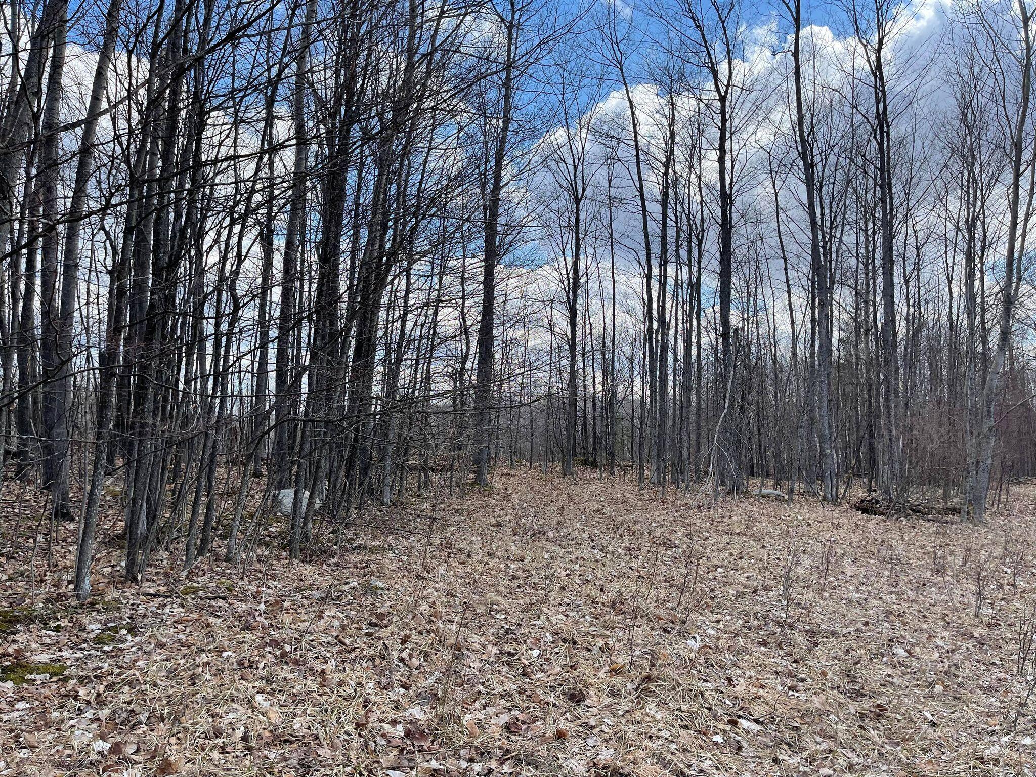 Farrier Road Hillman, MI 49746 - Photo 3 of 12 Gallery Image 3