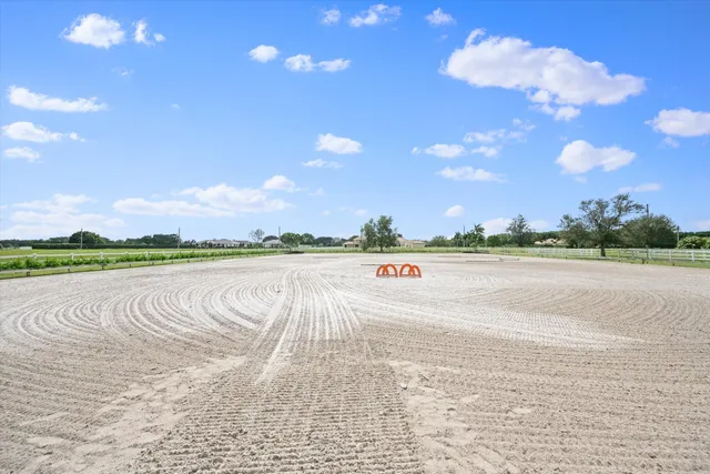 a view of a yard with palm trees