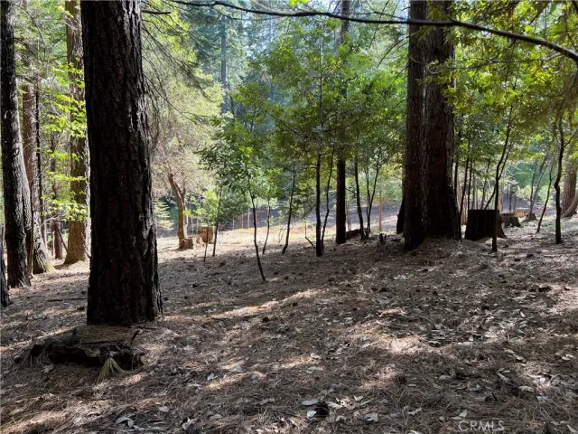a view of outdoor space with lots of trees