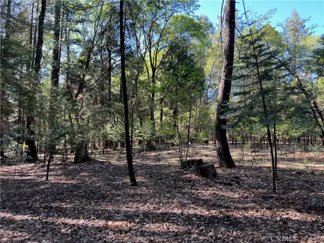 $99,000 | 0 Headwaters Road, Magalia, CA 95954