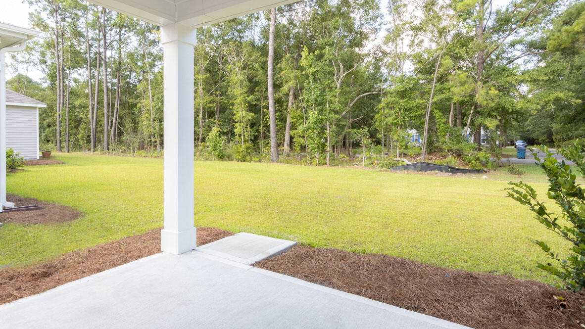 3964 Treebranch Cir Mount Awendaw, SC 29429 - Photo 36 of 37 Ruby A (33)
