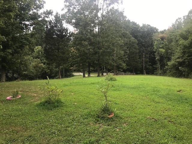 715 Dunaway Ridge Road Dover, TN 37058 - Photo 12 of 24 Gallery Image 12
