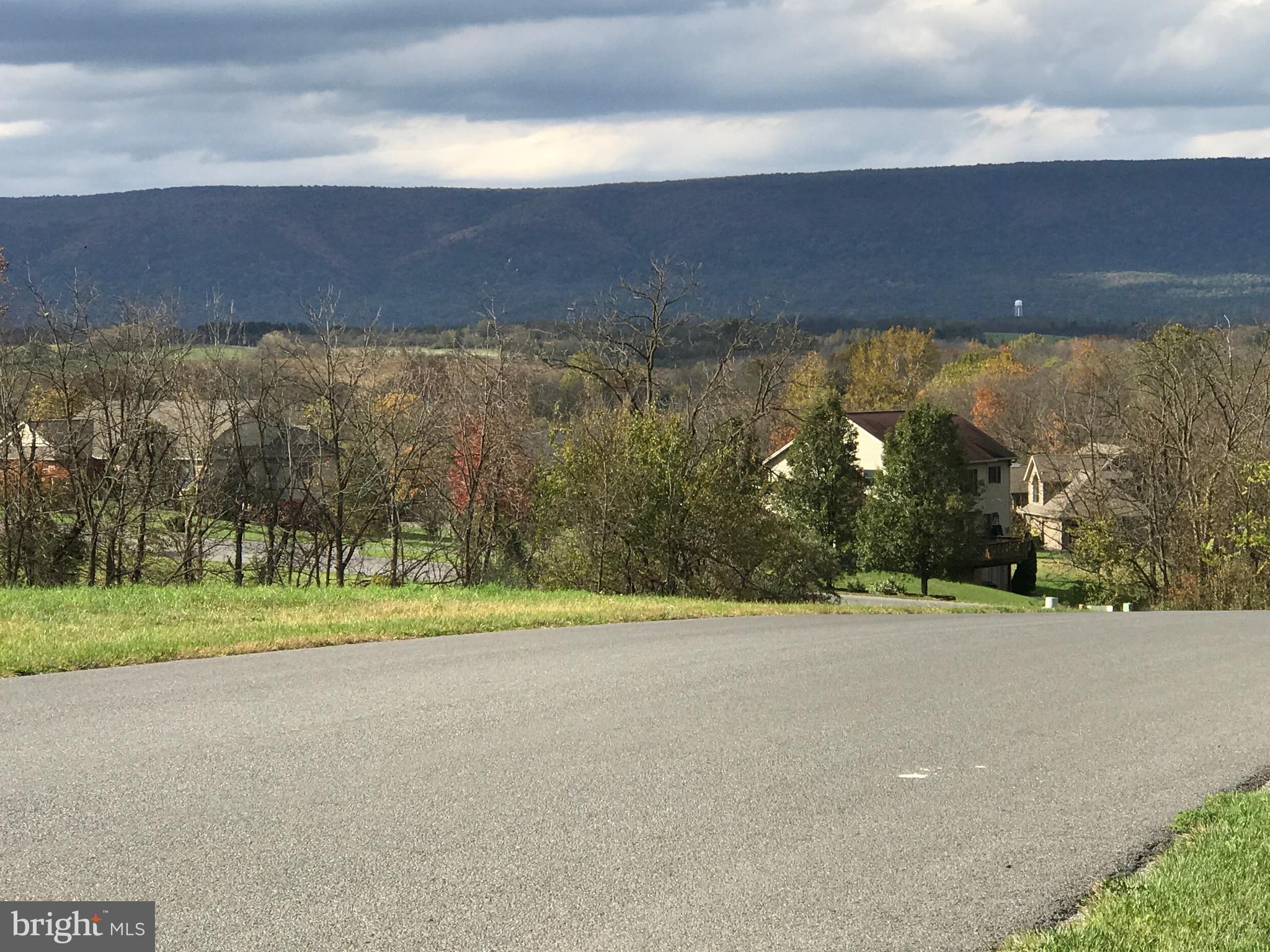 a view of a yard with sunset view