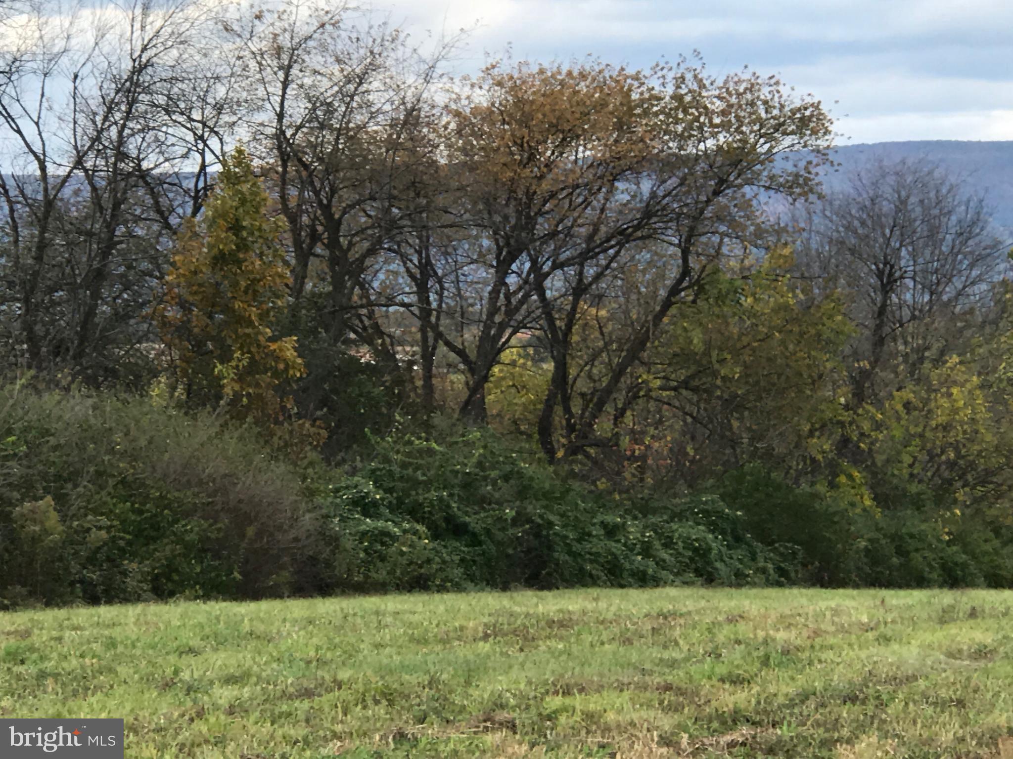 2923 Lawyers Road Chambersburg, PA 17201 - Photo 13 of 21 a view of a garden