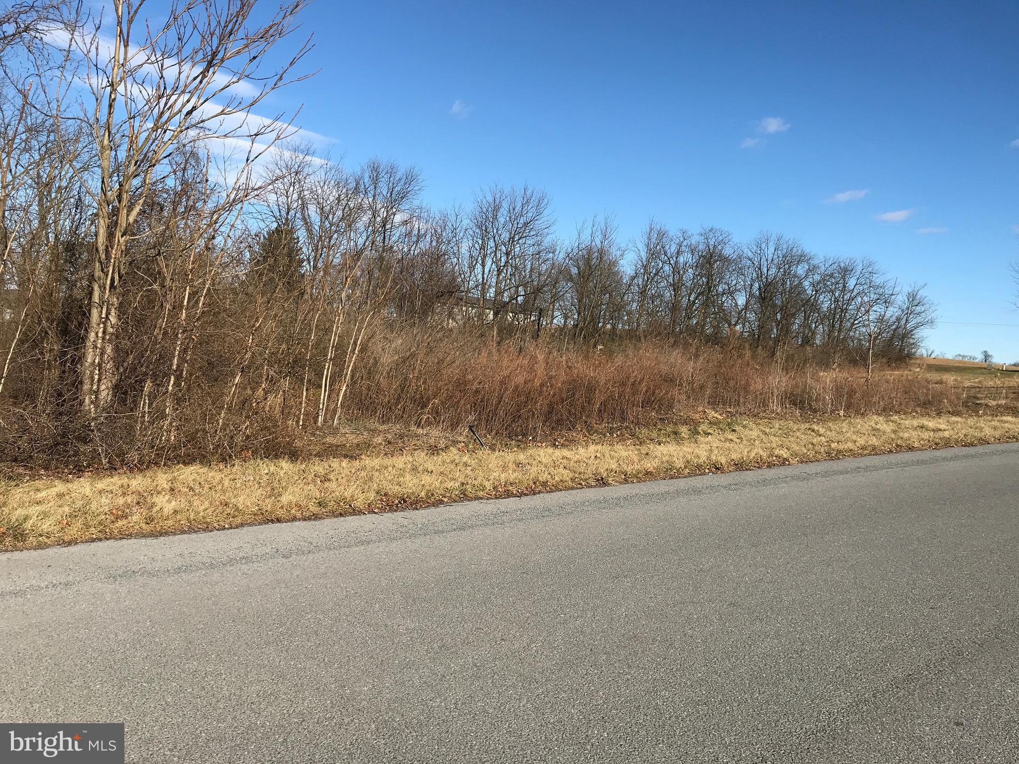 2923 Lawyers Road Chambersburg, PA 17201 - Photo 8 of 21 a view of a yard with a tree