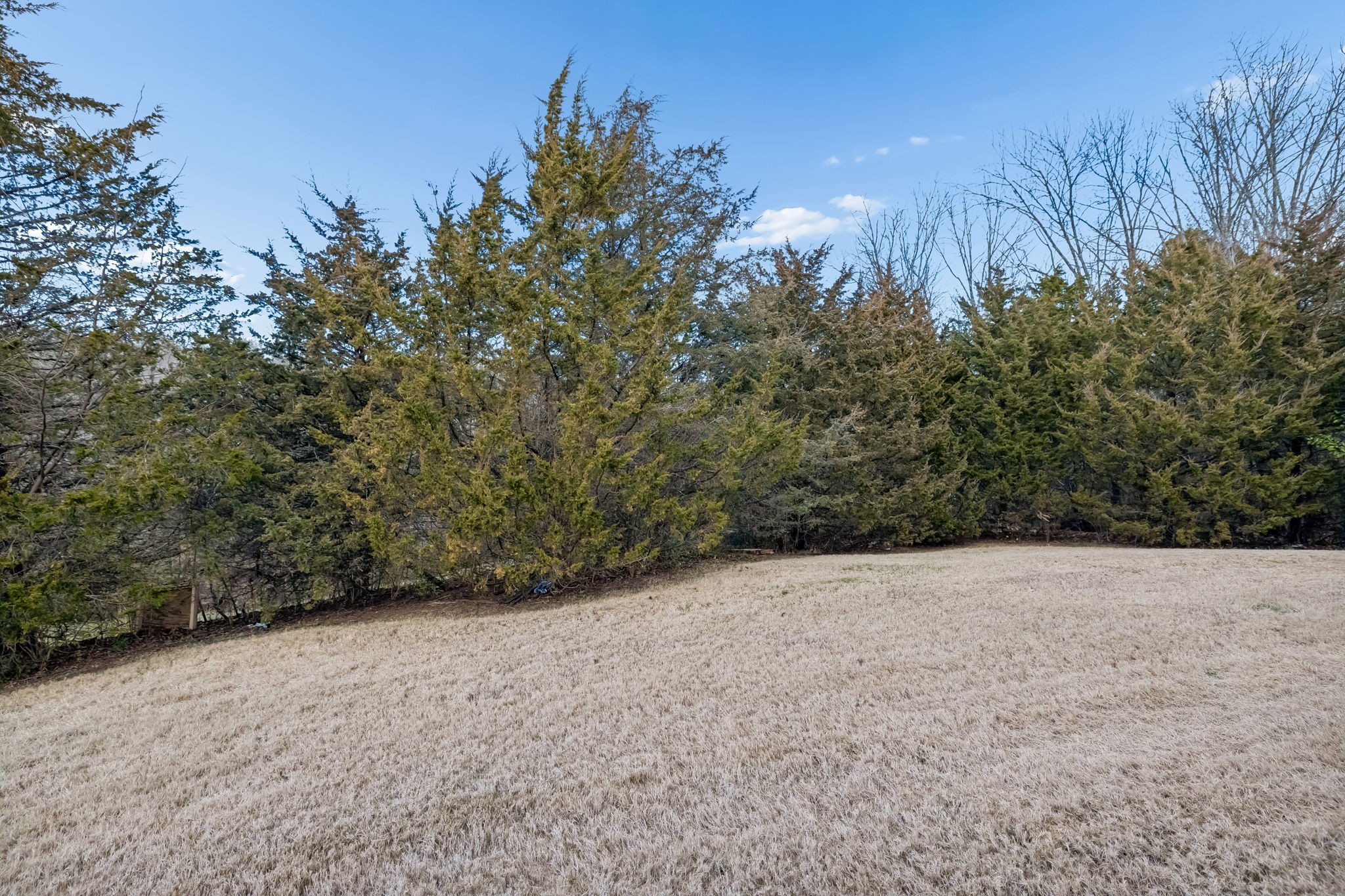 1791 Red Jacket Drive Antioch, TN 37013 - Photo 38 of 48 a view of empty field with trees in background