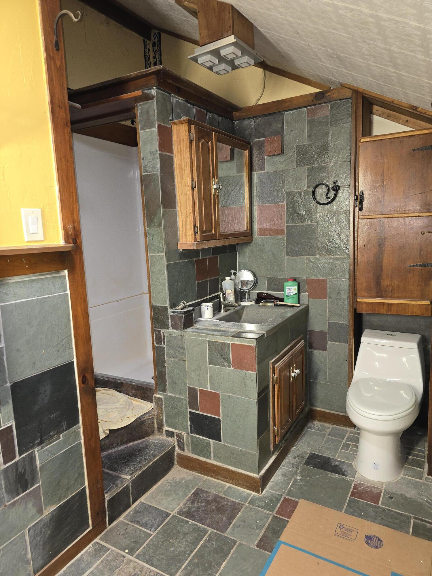 152 Town Road Lagrange, ME 04453 - Photo 22 of 32 20240930_112358