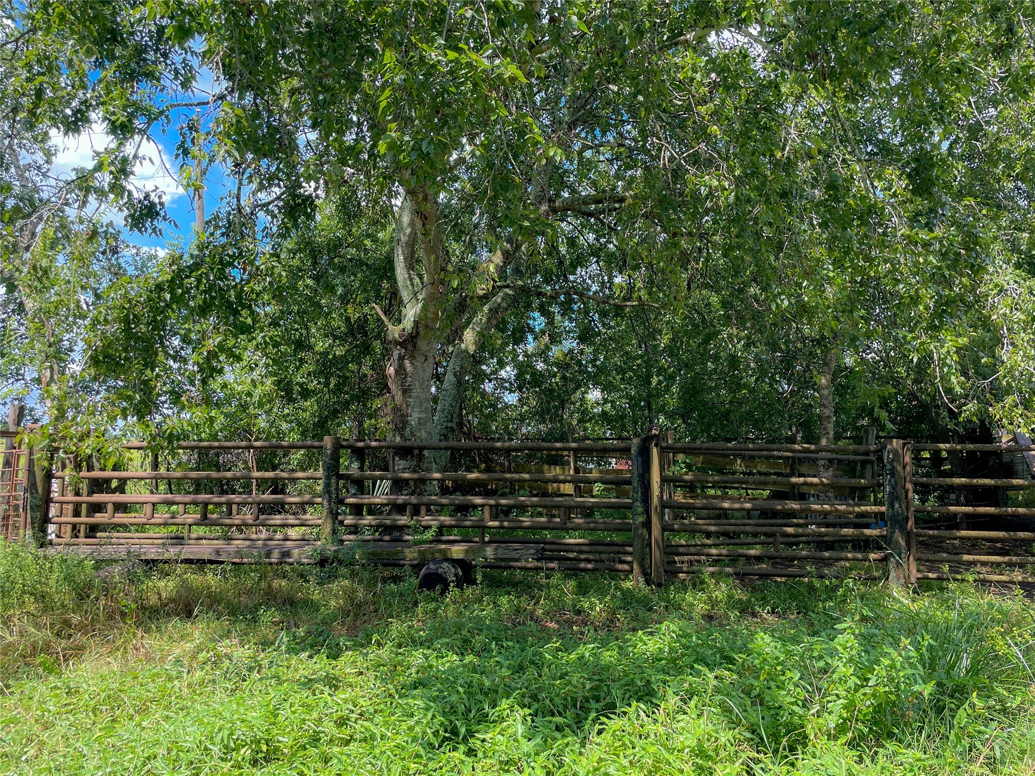 0 F M 1593 Ganado, TX 77962 - Photo 17 of 40 a view of outdoor space and deck