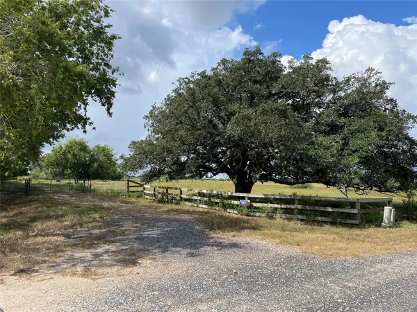 a view of a yard with large trees