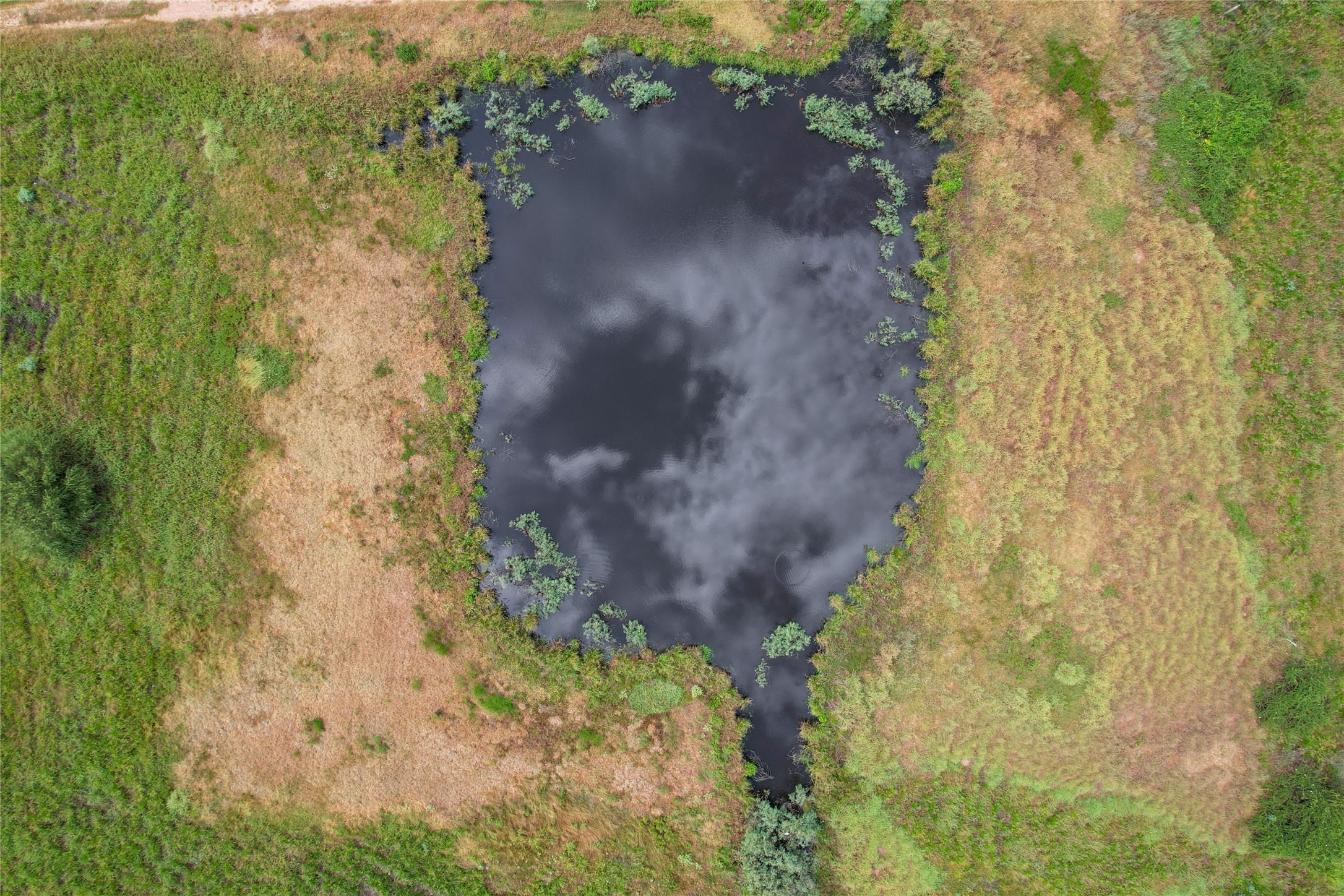 0 F M 1593 Ganado, TX 77962 - Photo 21 of 40 a view of a garden with a yard