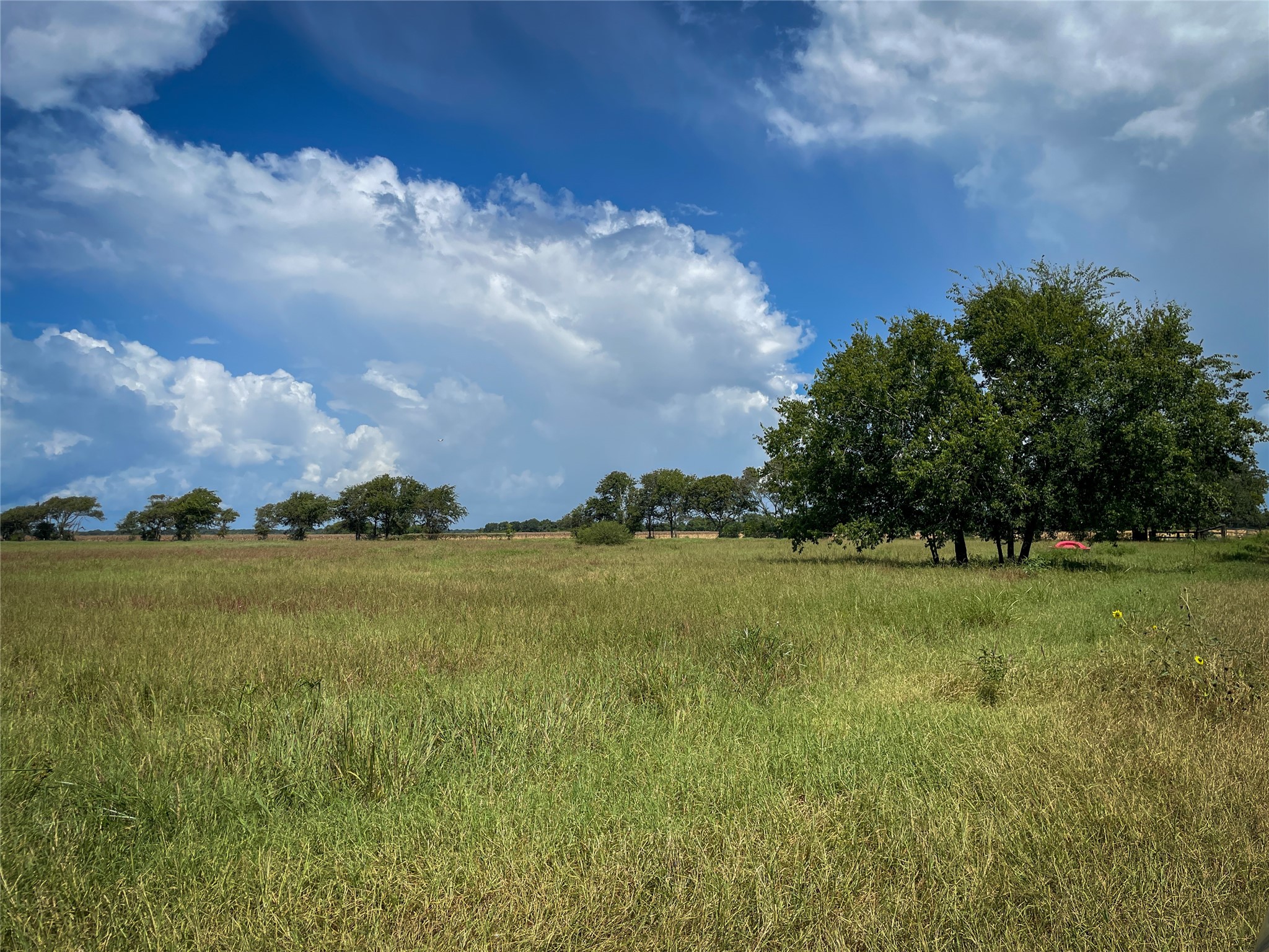 0 F M 1593 Ganado, TX 77962 - Photo 10 of 40 Iconic Texas oak tree with wide-open skies—perfect homesite backdrop.