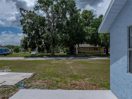 a view of a park with large trees