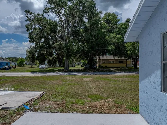 a view of a park with large trees