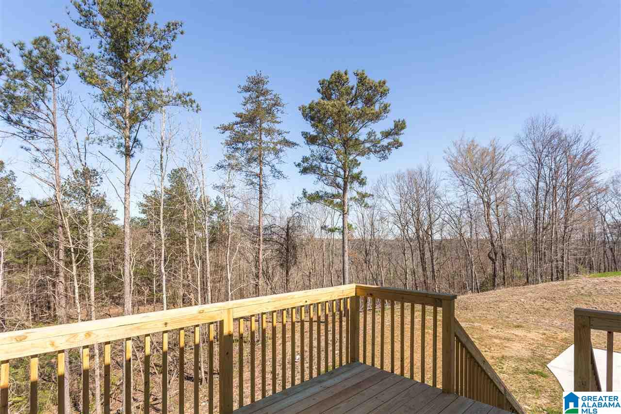 379 Lake Road Odenville, AL 35120 - Photo 9 of 43